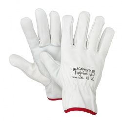 Galaxy 251 Pegasus Leather Gloves